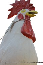 Scary critter at shop outside Hill City, S.D., November 2013. (c. Holly Ocasio Rizzo)