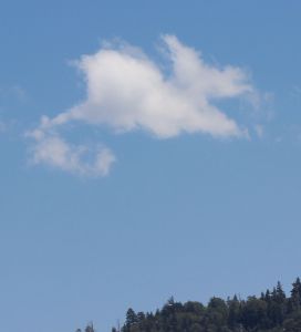 Bird carrying a tiny basket