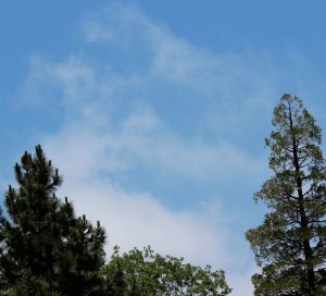 Monster face lookin' at you!